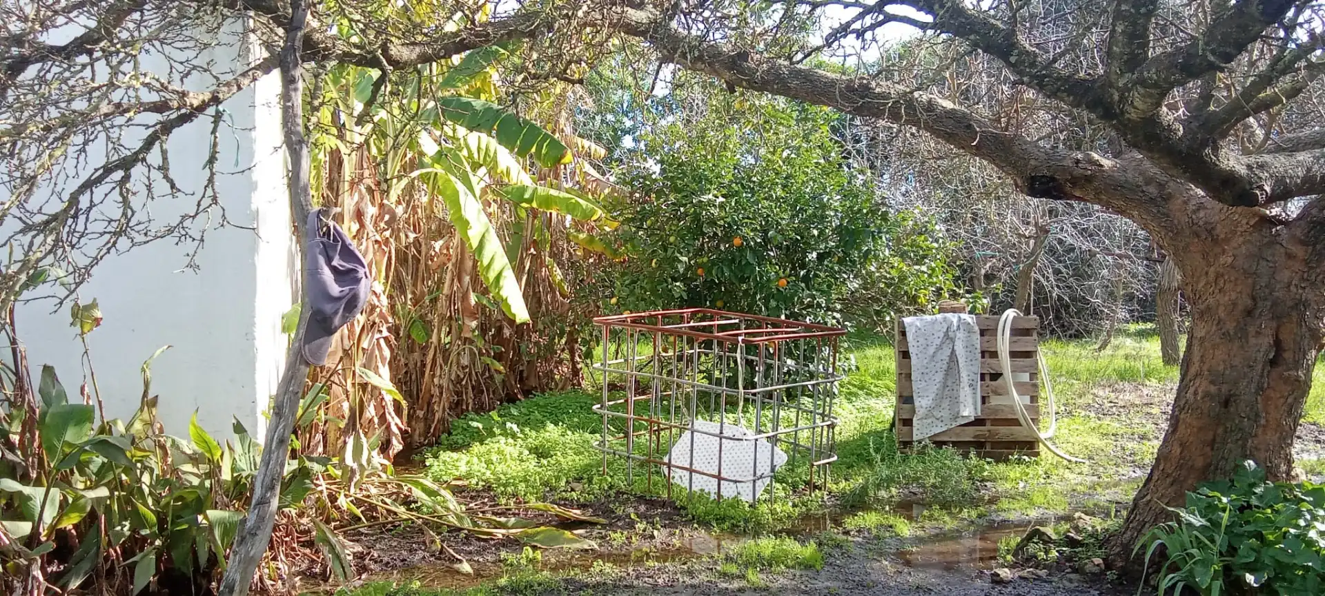 Casa rústica en venda a Vejer, imagen 15