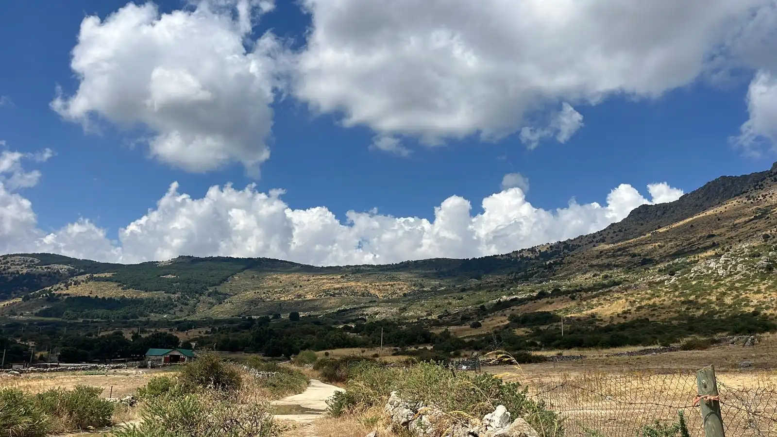 Terreno rustico in vendita a Los Molinos, imagen 2