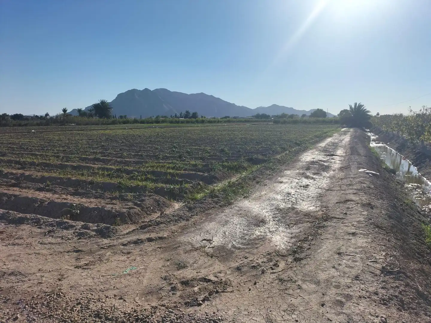 Casa rústica en venda a Granja de Rocamora, imagen 24