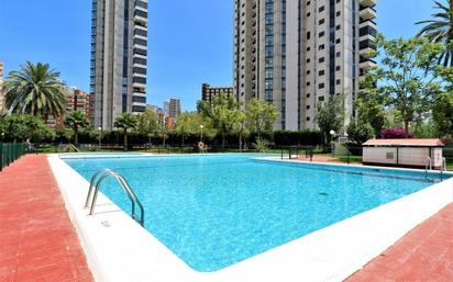 Swimming pool of Flat for sale in Benidorm  with Private garden, Terrace and Community pool