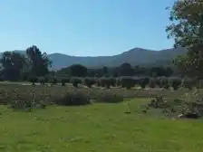 Rustikales Grundstück zum Verkauf in camino Mestanza 1, imagen 12