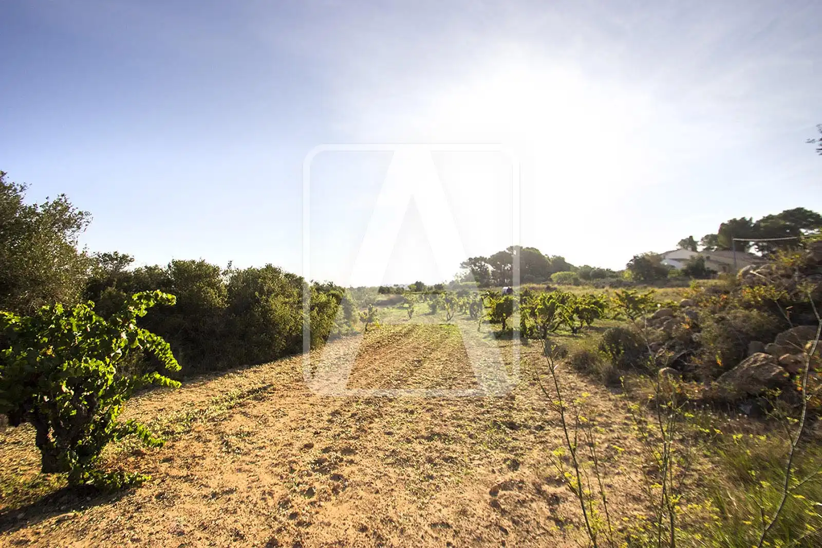 Terreny residencial en venda a Benissa pueblo
