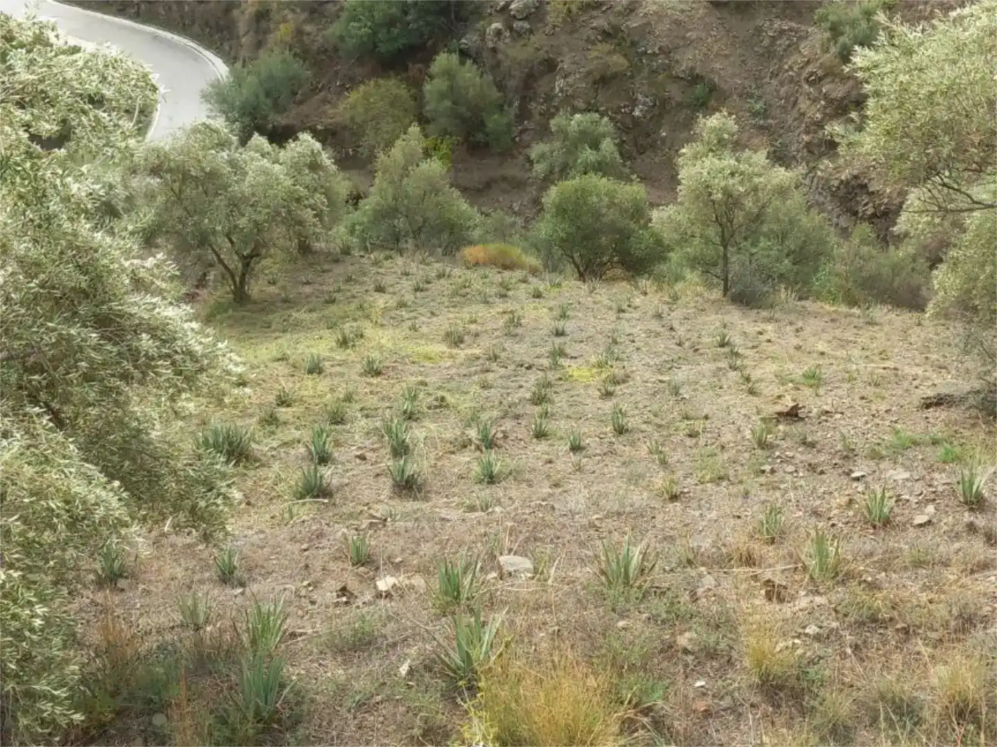 Terreno en venta en Árchez
