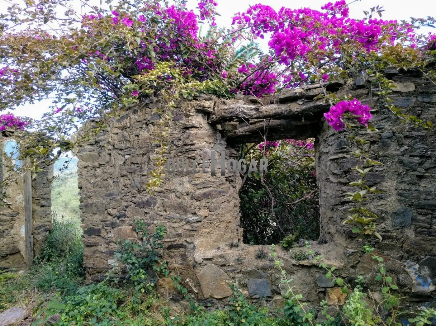 Casa rústica en venda a Moclinejo, imagen 2