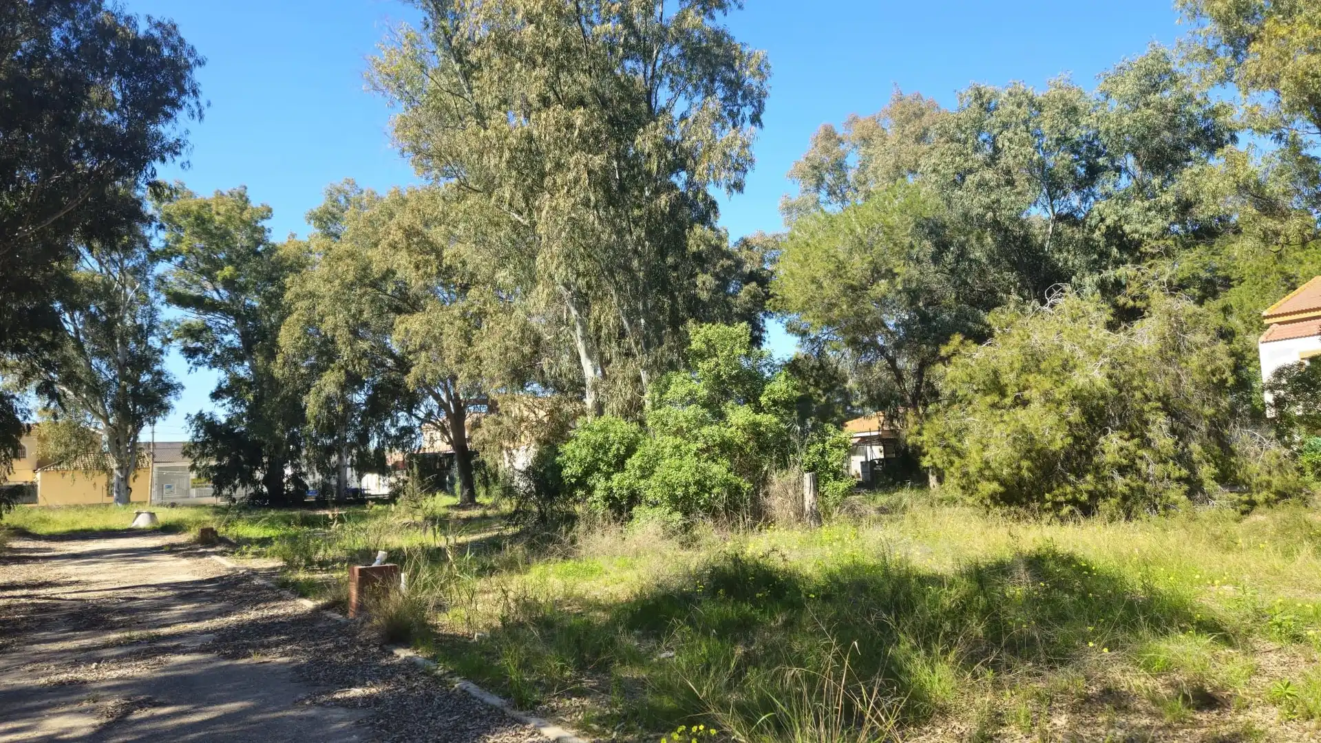 Terrenos y solares en venta en Mar Menor de Cartagena – Cabo de Palos, imagen 19