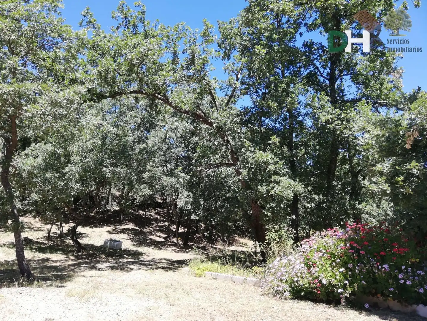 Finca rústica en venda a Perales del Puerto