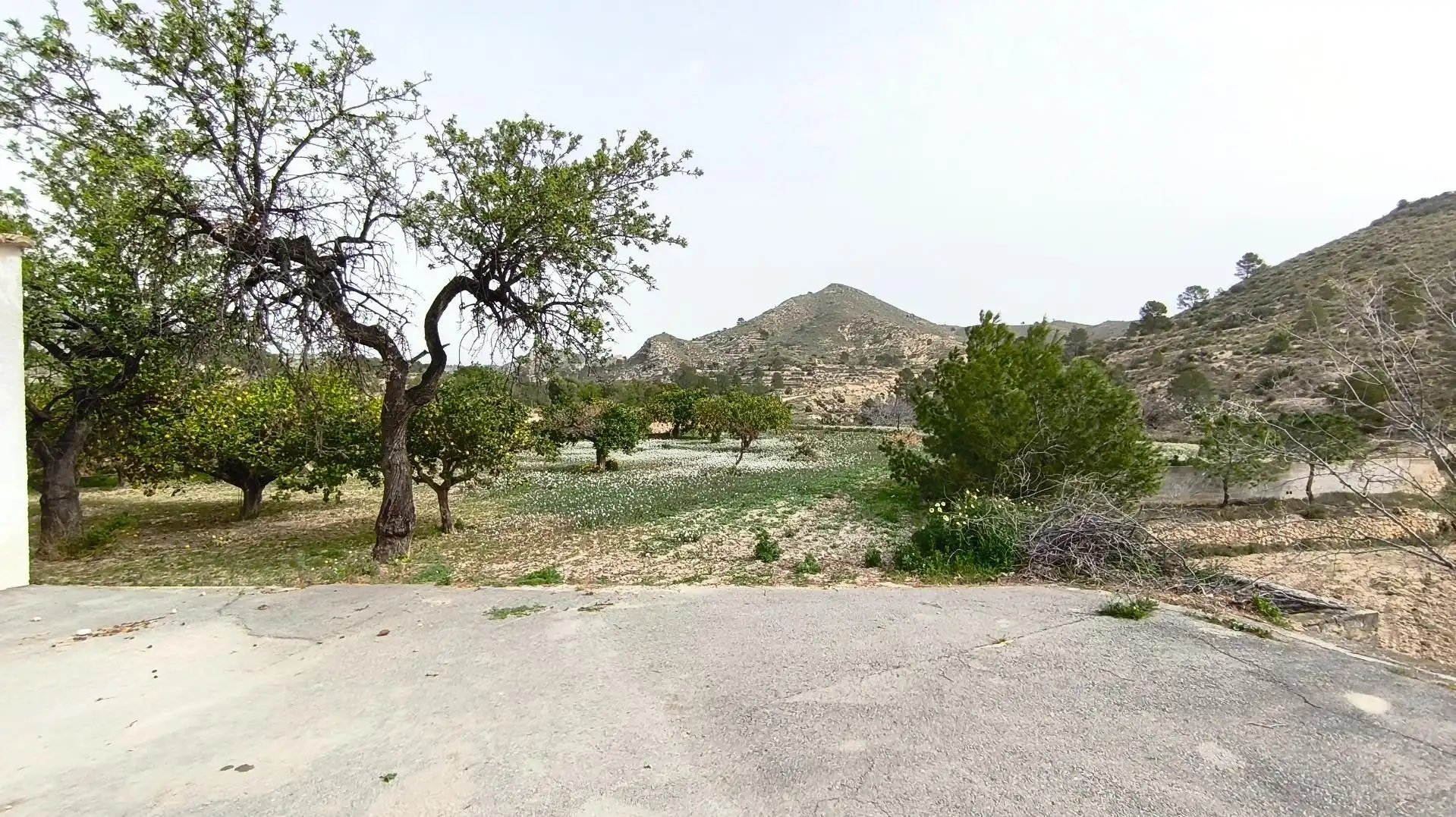 Finca rústica en venta en Aigües con Jardín privado