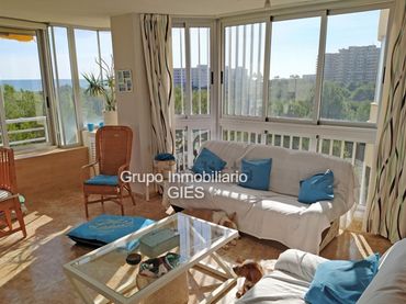 Mini appartamento con piscina in vendita a Avenida Gola del Puchol 17