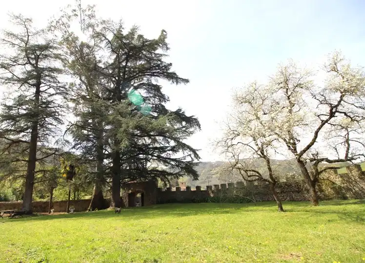 Garden of Houses for sale in Salas  with Furnished