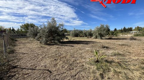 Tu rincón de paz en el Padul  , puede ser esta FINCA DE REGADÍO  donde desconectar, disfrutar de la naturaleza y sentir la tranqui, immagine 2