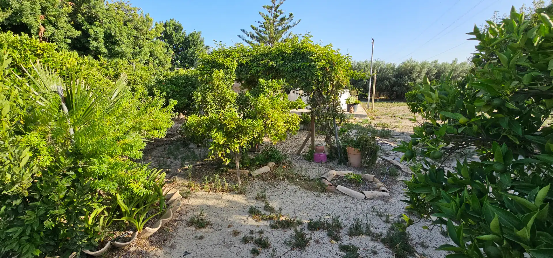 Casa o chalet de alquiler en Totana con Jardín privado, Terraza y Trastero
