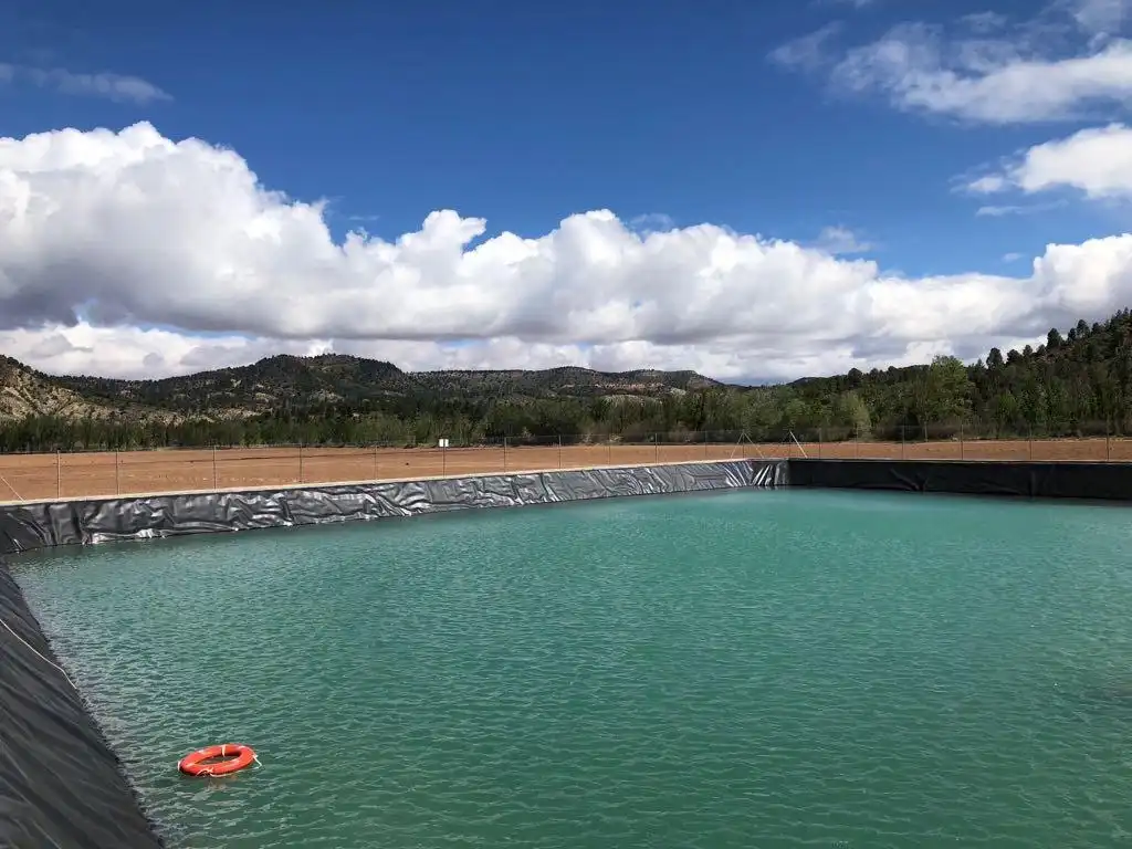 Schwimmbecken von Grundstücke zur Miete in Balsa de Ves