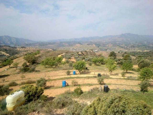 Terreno en Venta en Riba-roja d'Ebre