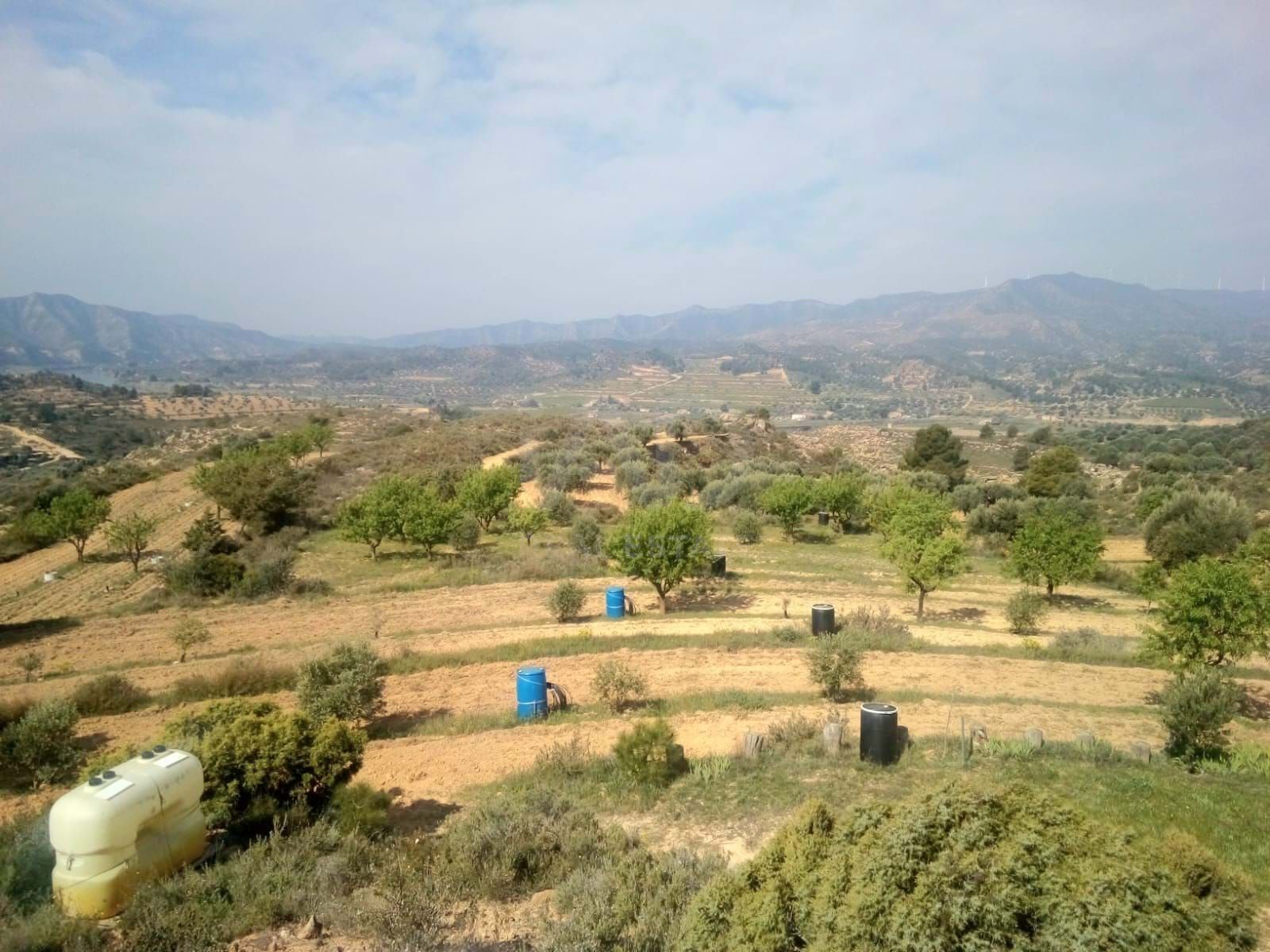 Land for sale in Riba-roja d'Ebre