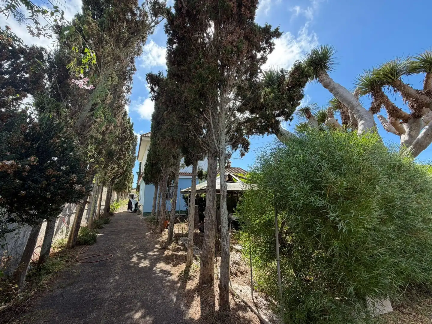 Chalet en venta en El Pris - Juan Fernández, imagen 38