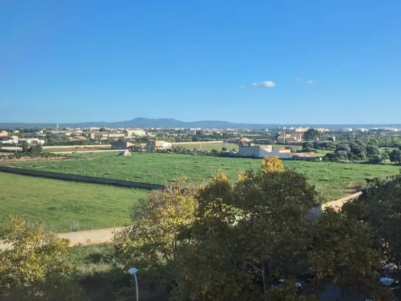 Pis de lloguer en Llevant