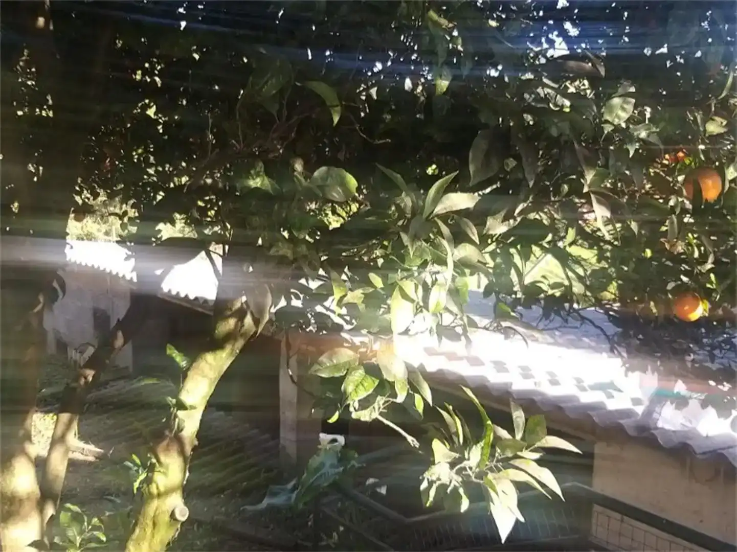 Jardí de Casa o xalet en venda en Pontevedra Capital  amb Jardí privat, Parquet i Traster