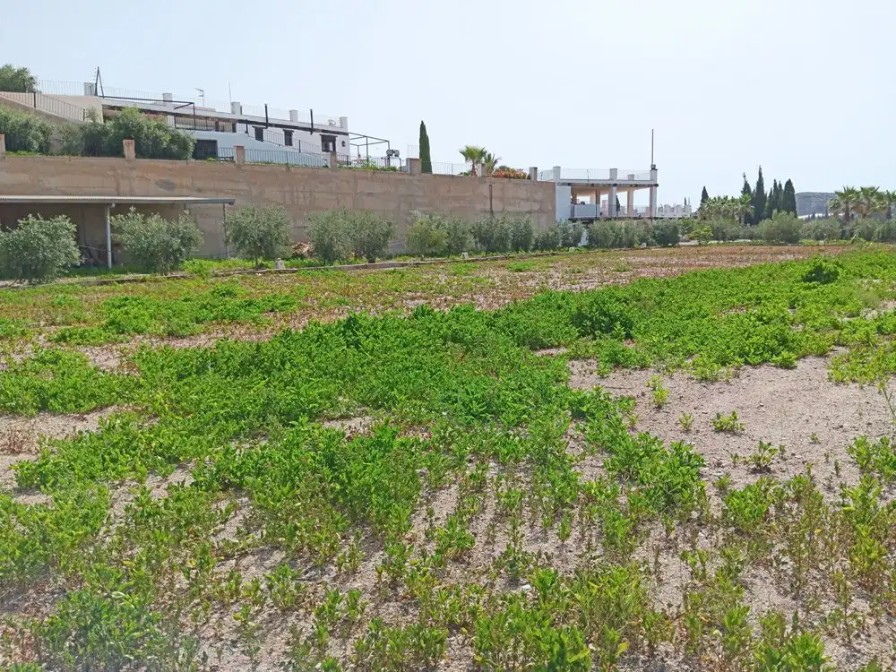 Terreno residencial en venta en Casco Antiguo, imagen 11