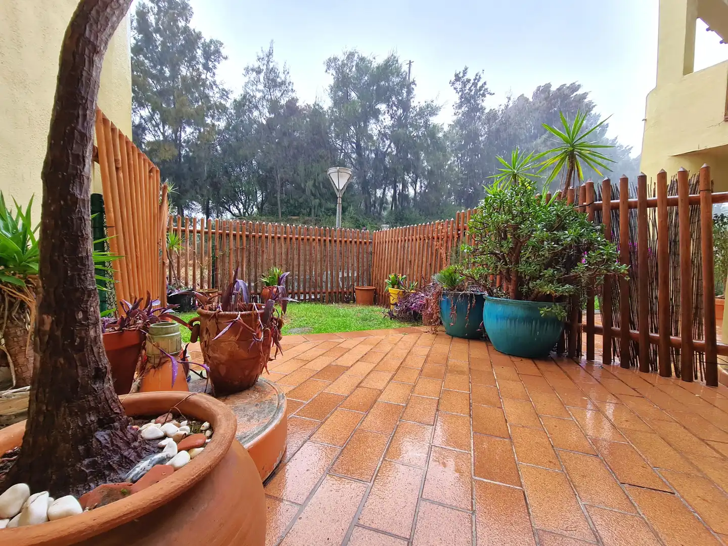 Terrassa de Apartament en venda en Sotogrande amb Jardí privat, Terrassa i Moblat