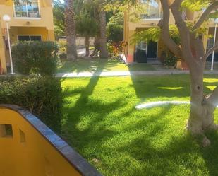 Garden of Apartment to rent in San Bartolomé de Tirajana  with Air Conditioner, Terrace and Furnished