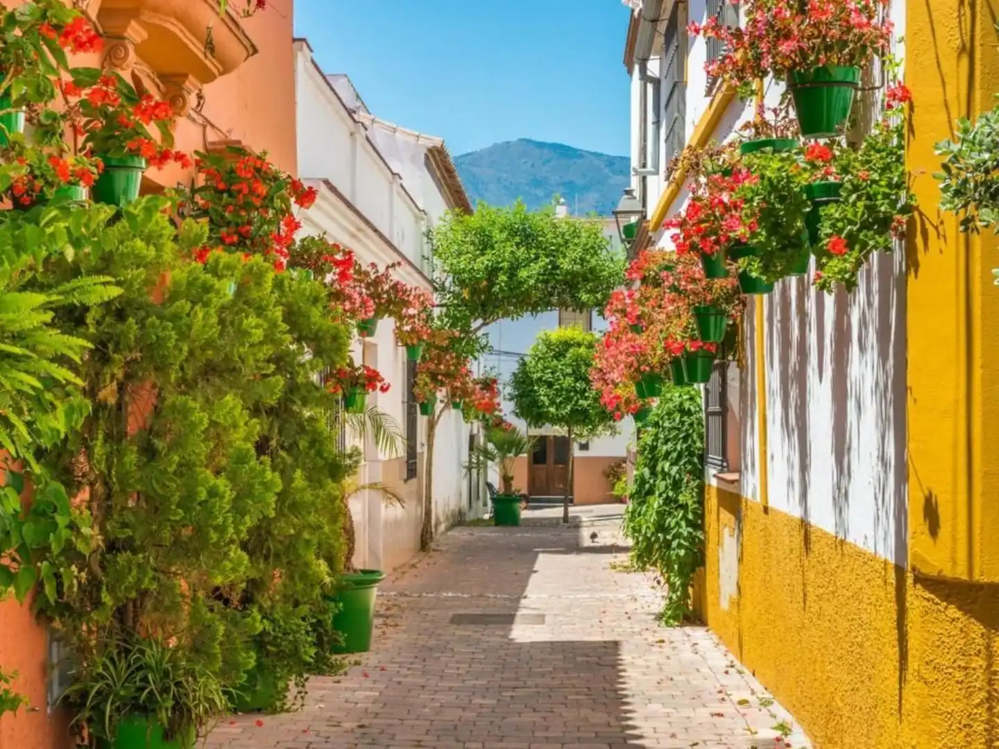 Vista exterior de Casa adosada de alquiler en Estepona con Aire acondicionado, Trastero y Piscina