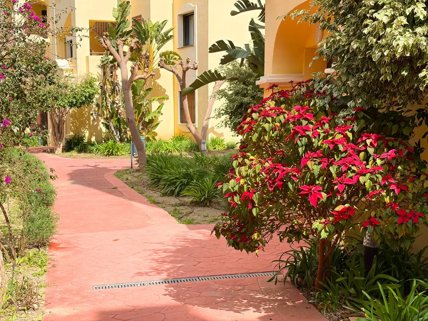 Garten von Wohnung zum Verkauf in Estepona mit Klimaanlage, Terrasse und Abstellraum