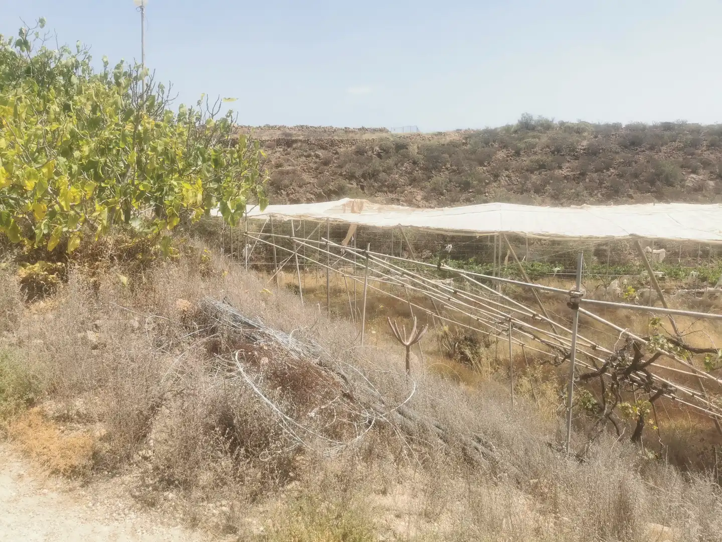 Terreny en venda en Granadilla de Abona