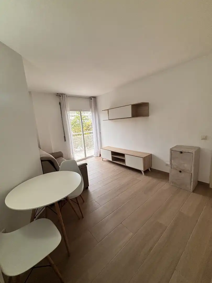 Sala d'estar de Pis de lloguer en Girona amb Moblat i Balcó