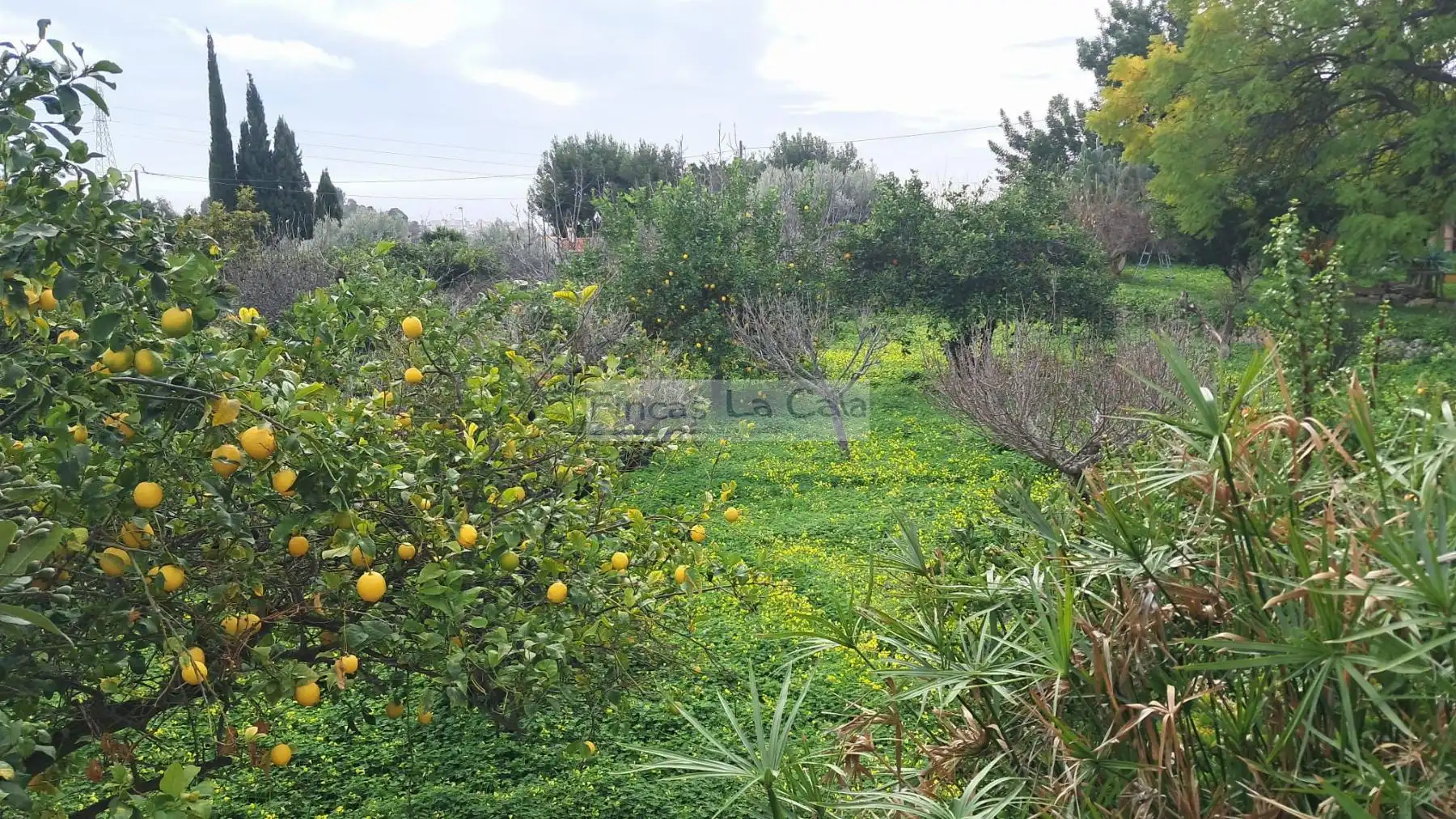 Landhaus zum Verkauf in El Secanet - Hacienda del Sol, imagen 18