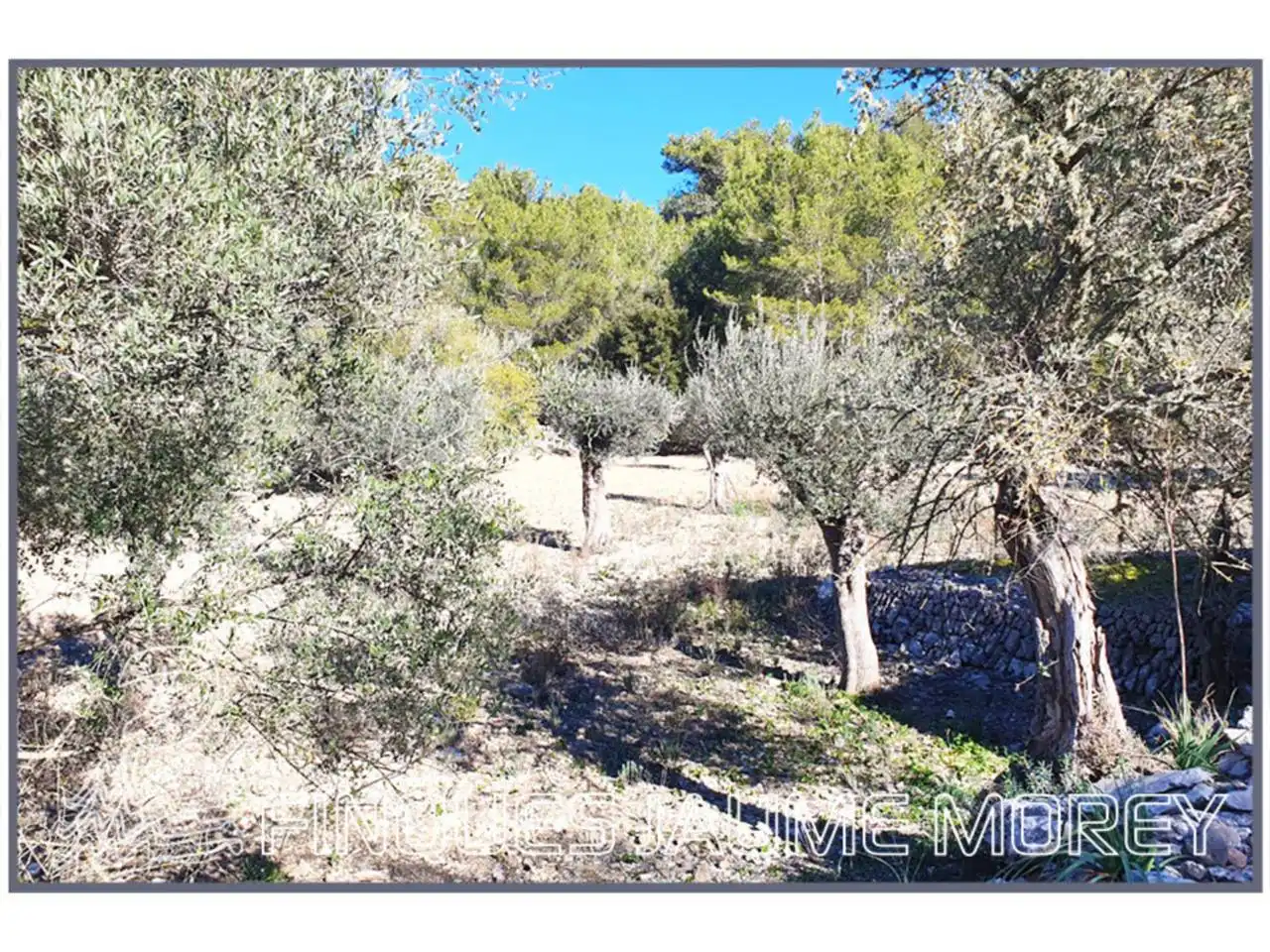 Finca rústica en venta en Mancor de la Vall con Jardín privado y Terraza