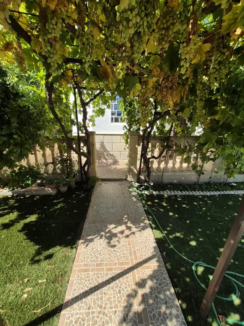Jardí de Casa o xalet en venda en Arcos de la Frontera
