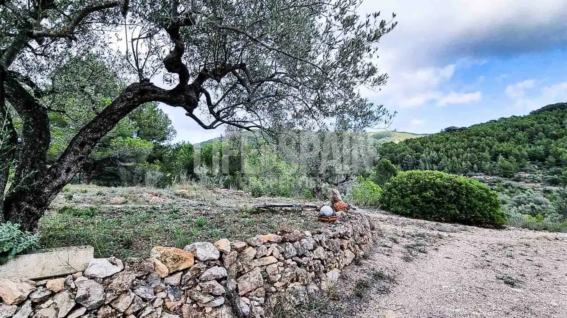 Finca rústica en venta en Bítem