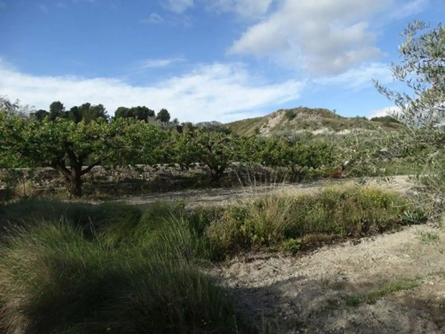 Terreny rústic en venda a Camino de Santa Quiteria 0, imagen 7