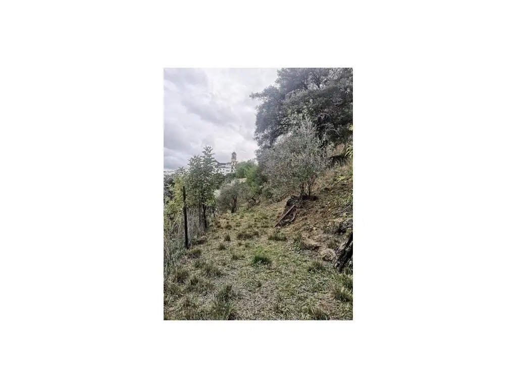 Casa rústica en venta en Algatocín, imagen 25