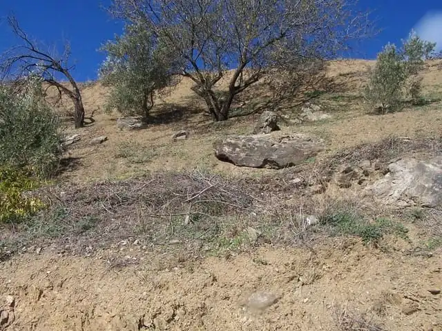 Terreni e lotti in vendita a Árchez, imagen 2