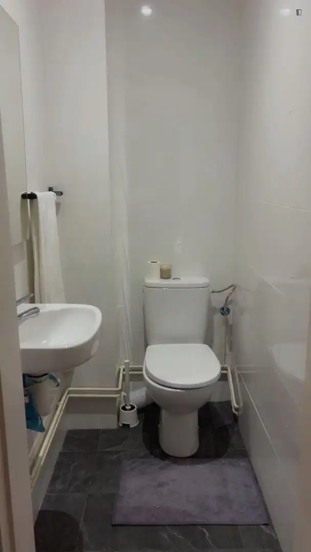Baño de Apartamento para compartir en Barcelona con Amueblado, Horno y Lavadora