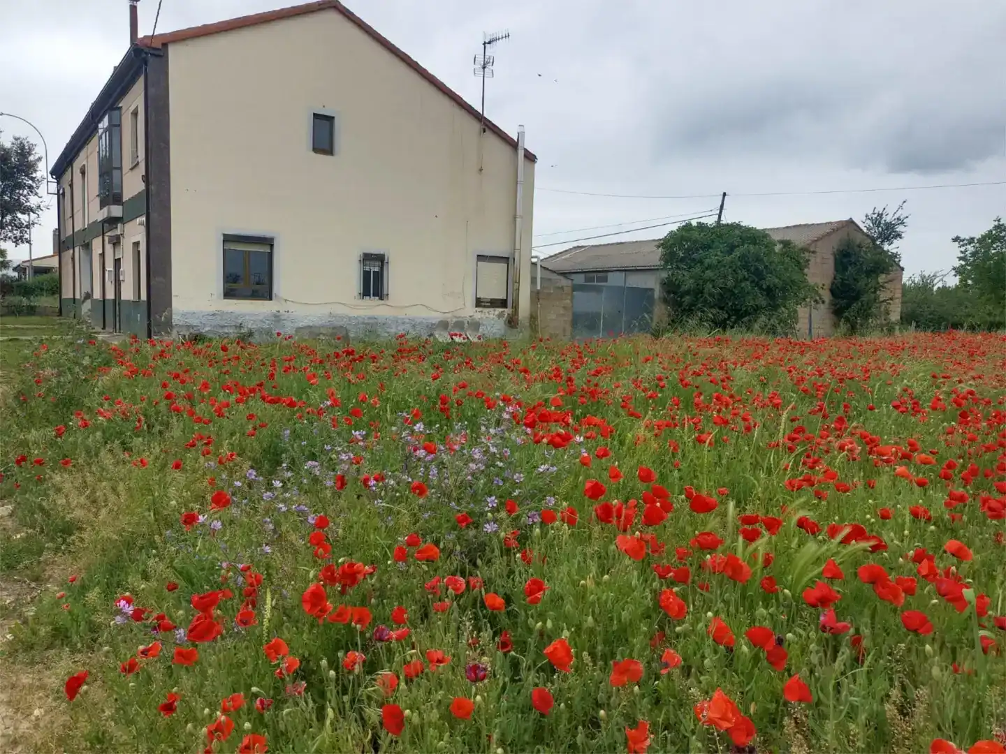 Casa o chalet en venta en Villamontán de la Valduerna con Jardín privado, Trastero y Amueblado