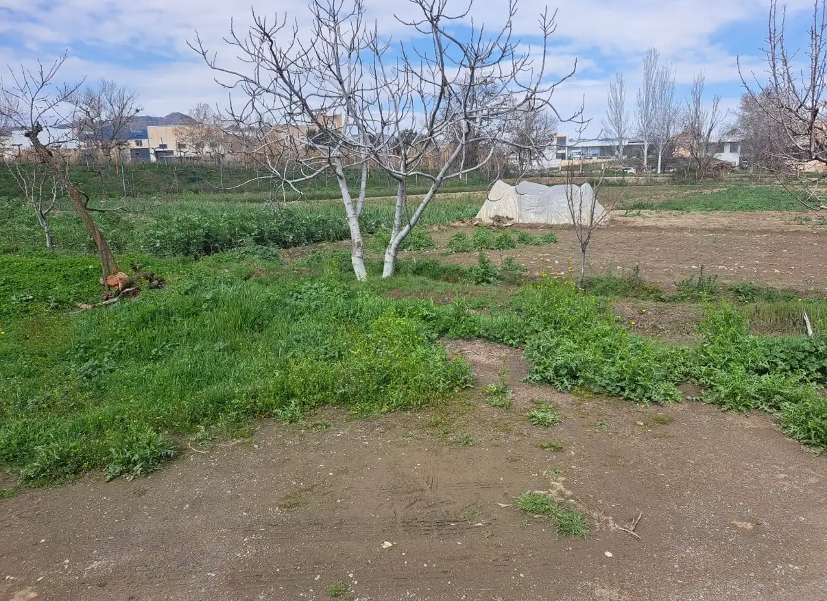 Rustikales Grundstück zum Verkauf in Guadix, imagen 8