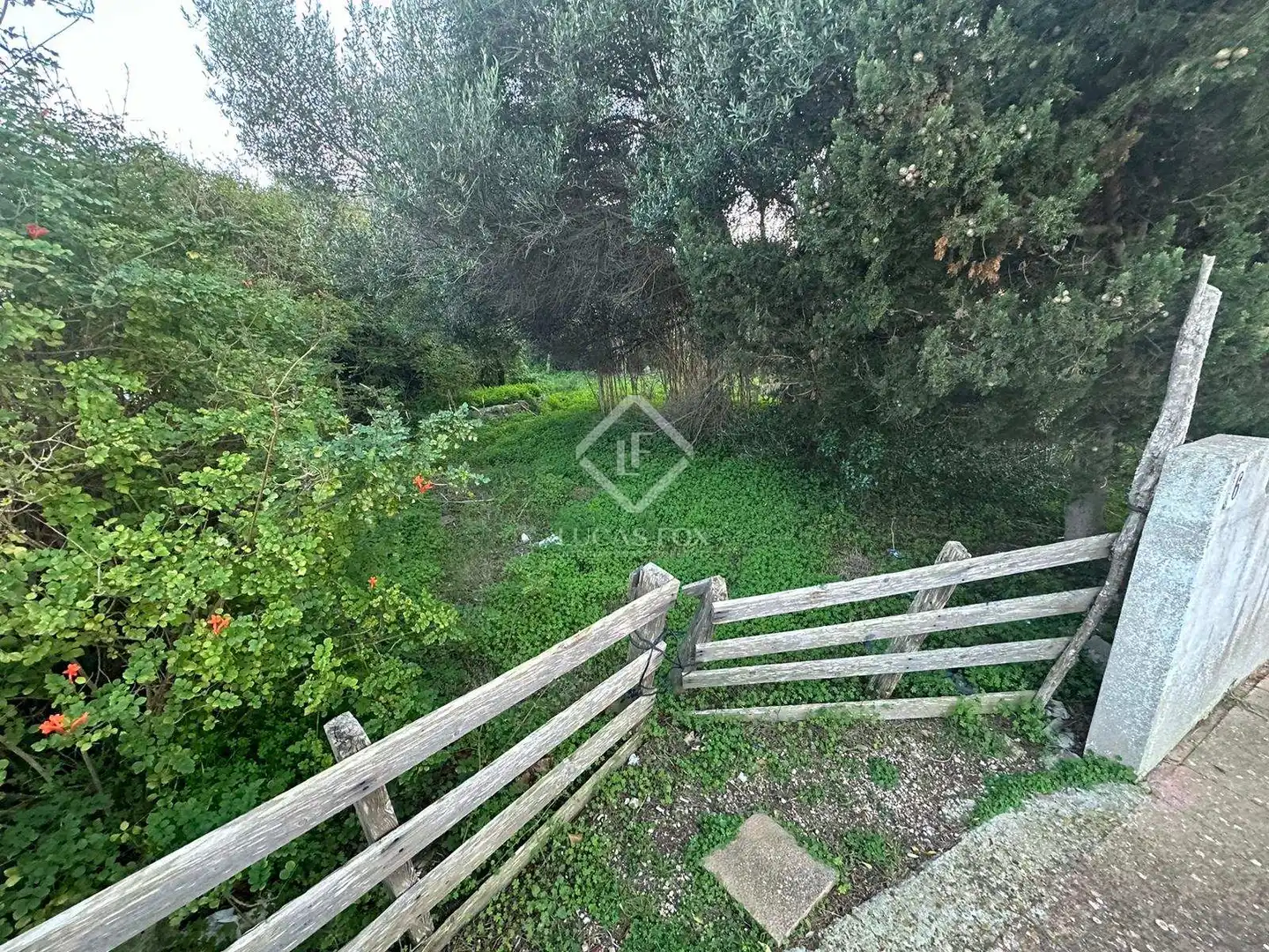 Terreno rustico in vendita a Cala en Porter, imagen 3