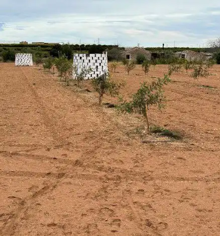 Casa rústica en venta en Onda, imagen 3