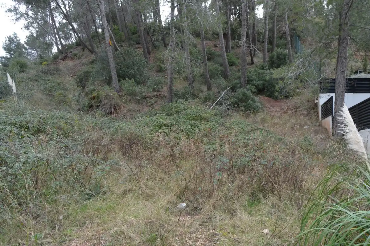 Terreni e lotti in vendita a Corbera de Llobregat, imagen 5