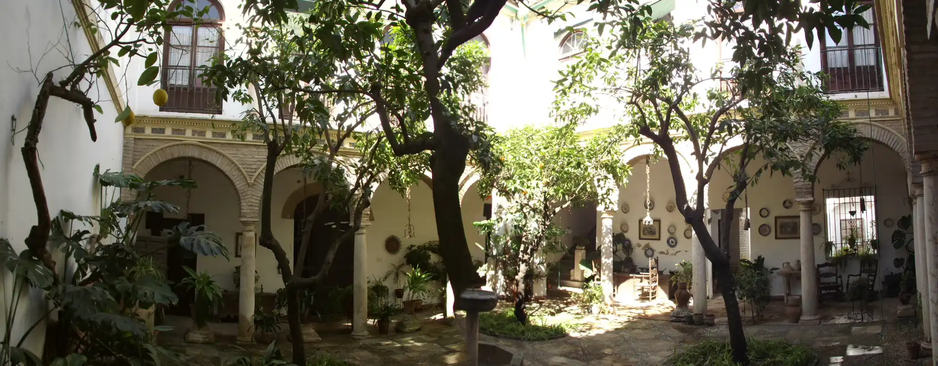 Autres à vendre à Centro