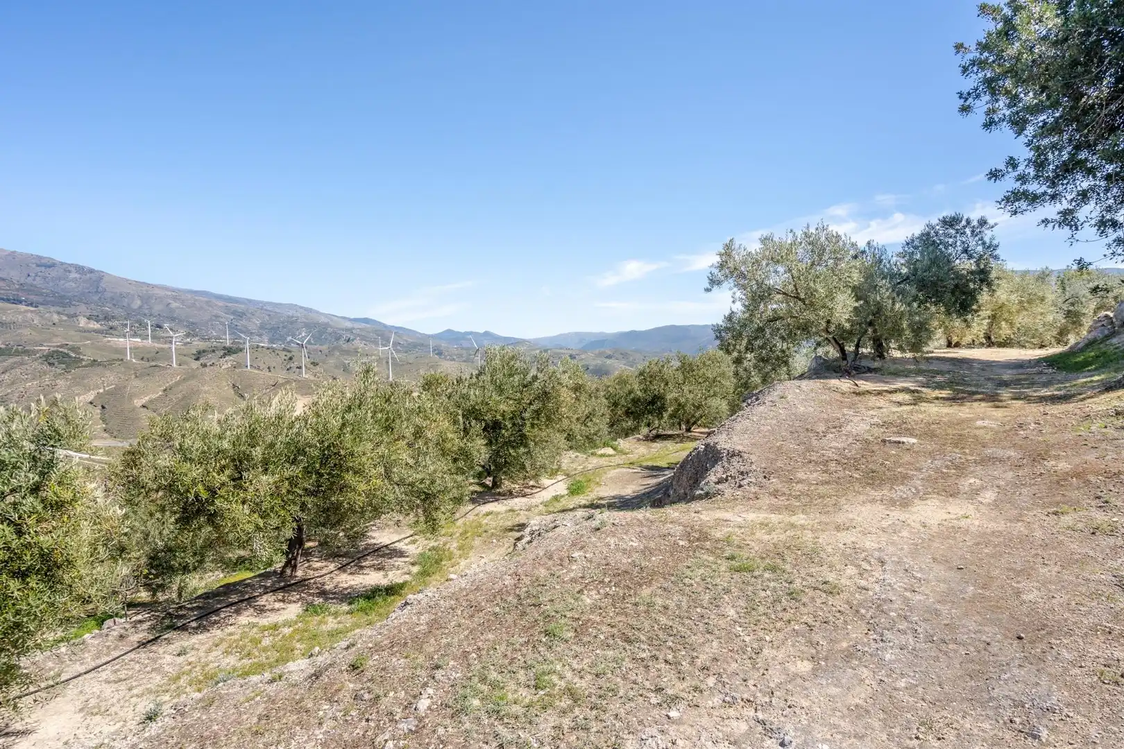 Land for sale in El Pinar