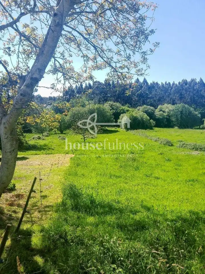 Terreni e lotti in vendita a O Feal - Xubia, imagen 5