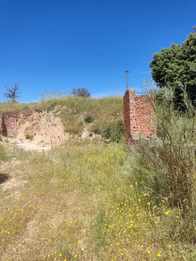 Land for sale in Navalcarnero