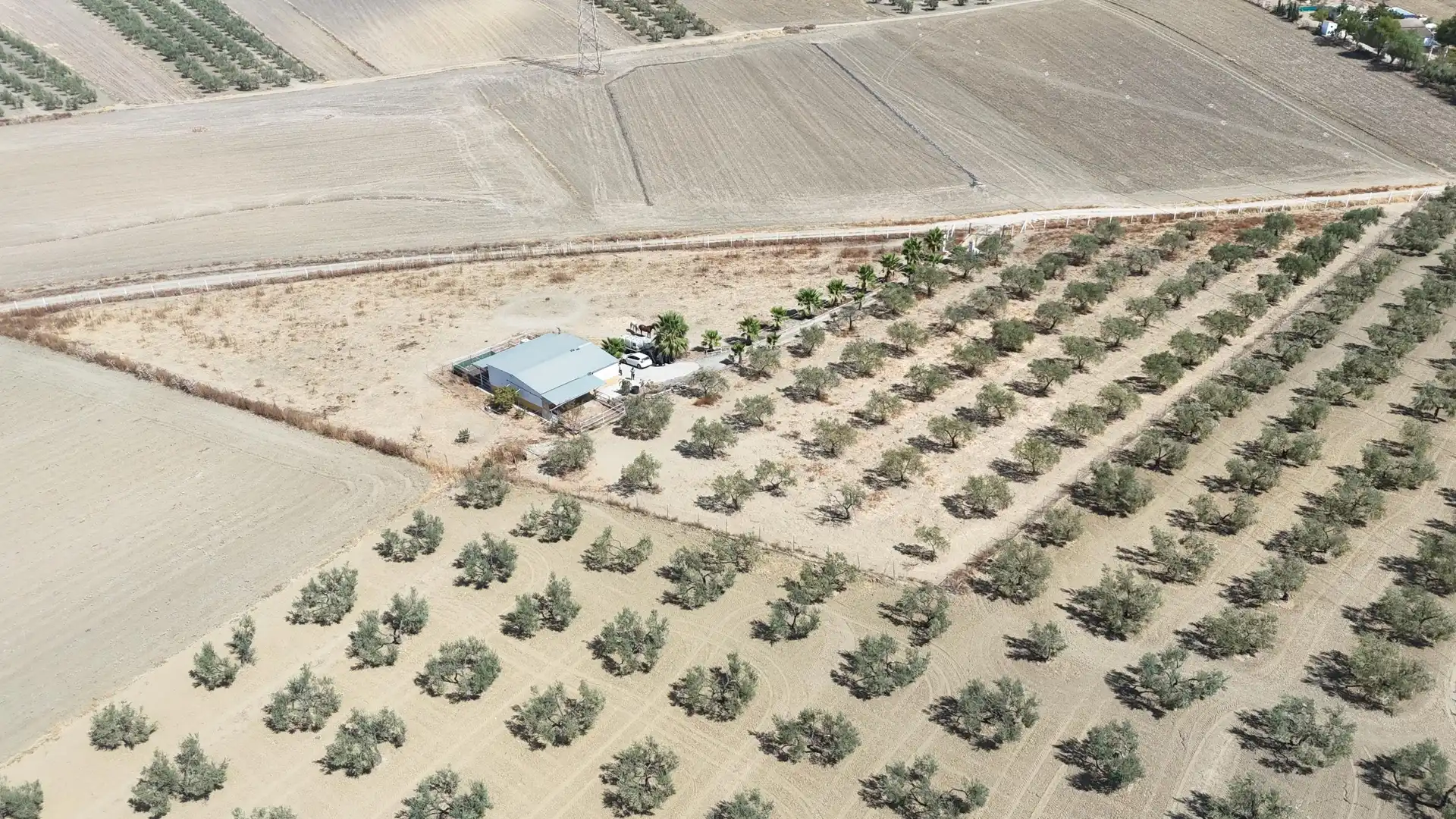 Rural land for sale in Polígono 12 Parcela 177 LA CORIANA. OLIVARES (SEV, imagen 10