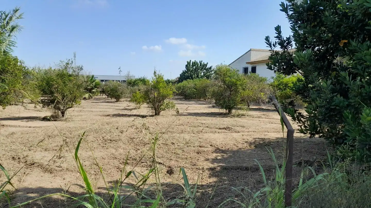 Haus oder Chalet zum Verkauf in Benejúzar mit Privatgarten, Terrasse und Schwimmbad