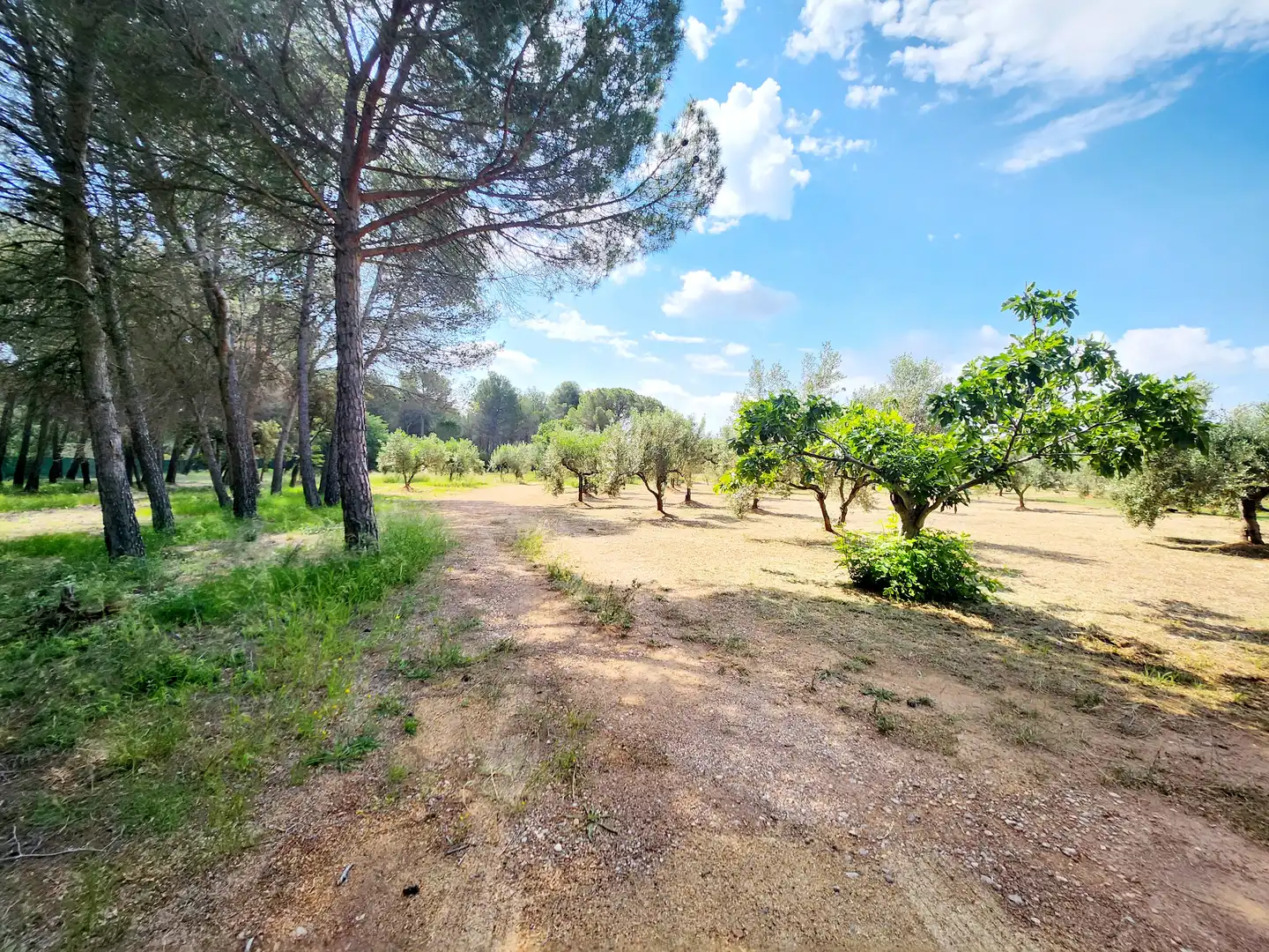 Finca rústica de alquiler con opción a compra en Esparreguera con Calefacción, Jardín privado y Terraza