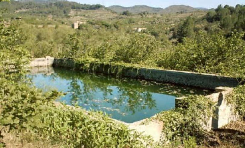 Swimming pool of Industrial buildings for sale in Riudecols