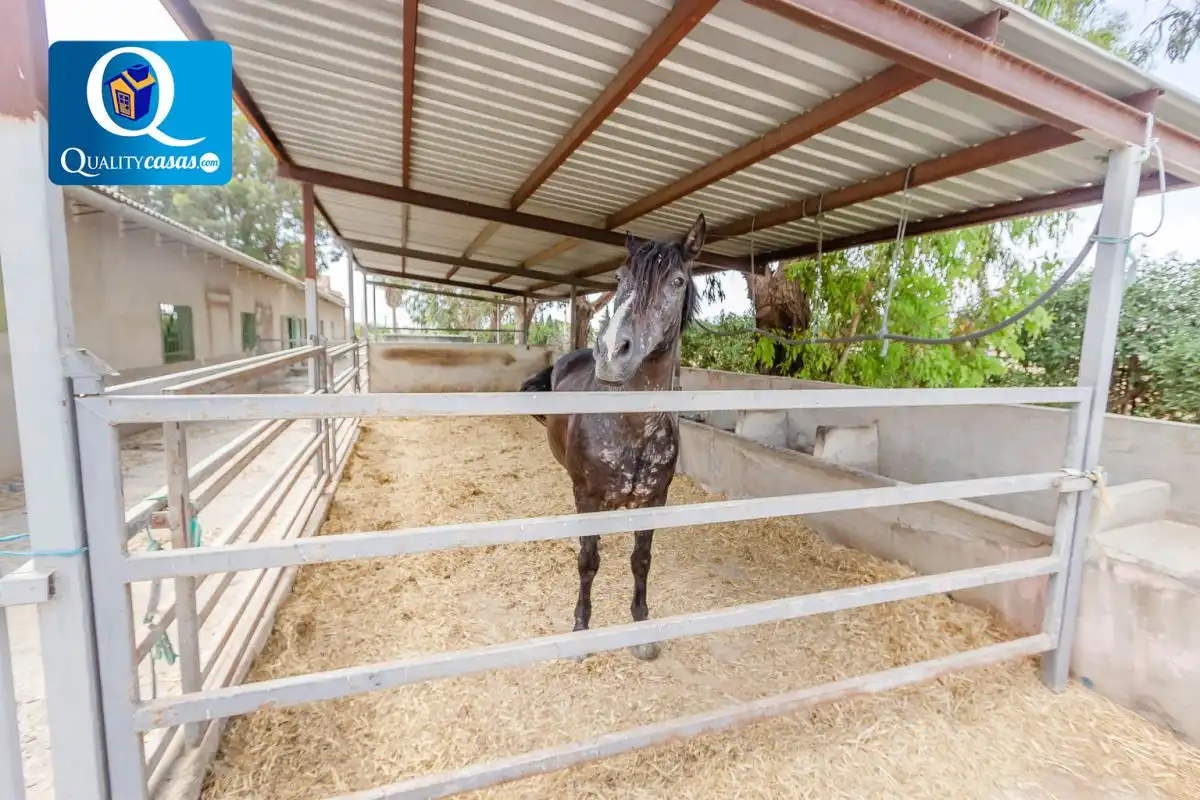 Chalet en venta en Partidas de Alicante, imagen 40